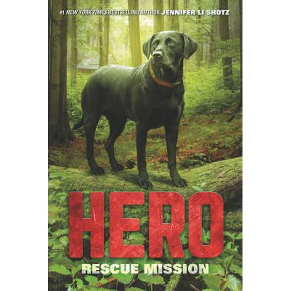 Pre-Owned Hero: Rescue Mission (Paperback) 006256045X 9780062560452