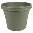 thumbnail image 3 of BLOEM TERRAPOT LIV Vert 10 Pouces, 3 of 4