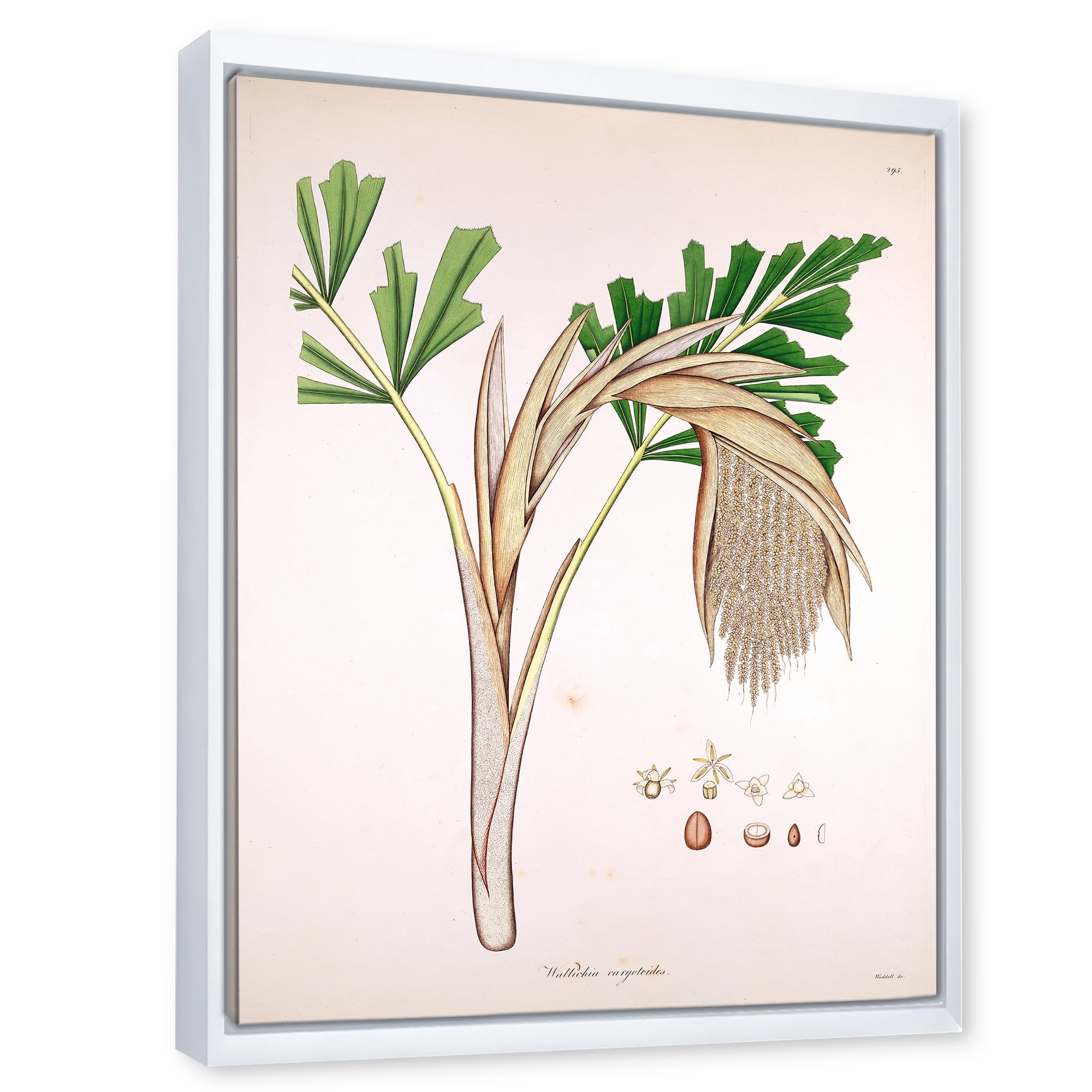 Designart 'Ancient Plant Life XV' Farmhouse Framed Canvas Wall Art Print