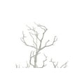 thumbnail image 4 of Tripar 31 in. Twig Tree, Cream White, 4 of 5