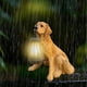 thumbnail image 5 of Adorno Solar Colgante para Perro | Figura de Cachorro de Resina con Luz Led Solar | Decoración de Jardín Exterior Resistente a La Intemperie | Iluminación Ambiental de Bajo Consumo para Patio y Jardí, 5 of 6