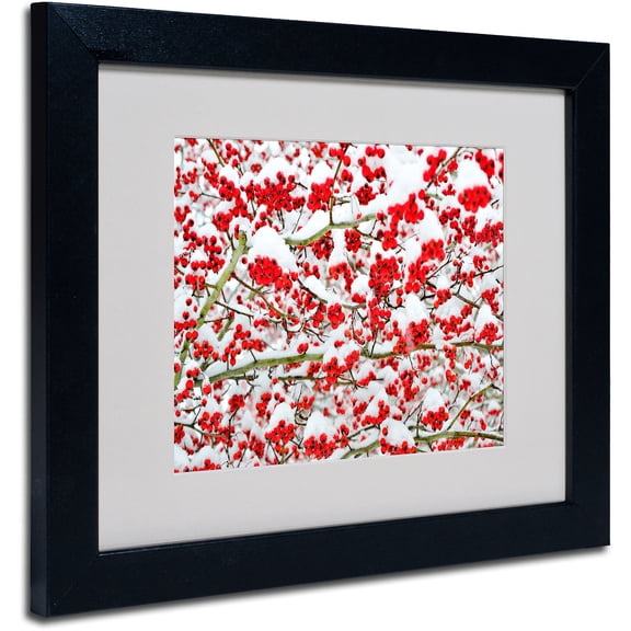 Trademark Fine Art "Winter Berries in the Snow" by Kurt Shaffer, Black Frame