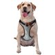 thumbnail image 1 of Fotbe Koi Fish Water Arnés para Perro con Estampado –Chaleco Ajustable Acolchado con Asa de Control para Perros Grandes-Medium, 1 of 6