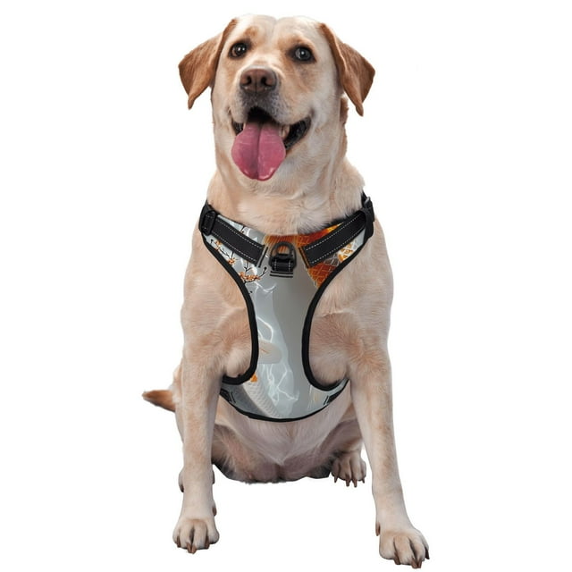 Balery Koi Fish Water Arnés para Perros Grandes Antitirones, Arnés con Correa para Gato, Arnés Tipo Chaleco para Perros Pequeños-Large