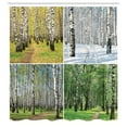 thumbnail image 3 of Ambesonne Forest Shower Curtain, Fall Winter Birch Tree, 69"Wx84"L, Green White, 3 of 5