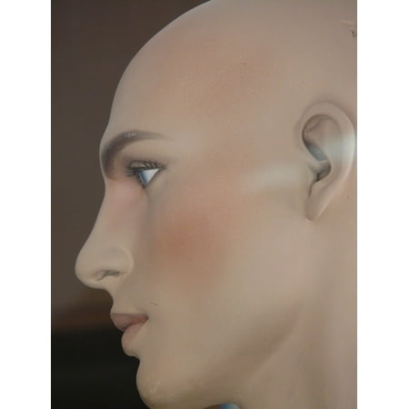 Canvas Print Display Dummy Hairstyle Bald Head Doll Head Face Stretched Canvas 10 x