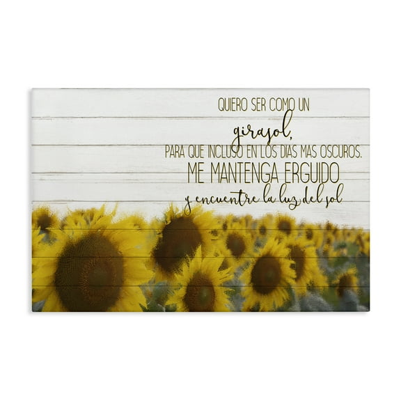 Stupell Industries Quiero Ser Como un Girasol Inspirational Quotes & Sayings Painting Wrapped Canvas Art Print Wall Art, 24 x 16