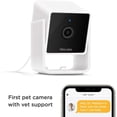 thumbnail image 2 of [Nuevo 2020] Petcube Cam Pet Monitoring Camera con chat vete Petcube Petcube, 2 of 2