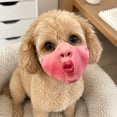 thumbnail image 6 of Rdausd Funny Dog Muzzle Costume Mask, Novelty Creepy Dog Face Mask for Small Medium Large Dogs, Hilarious Pet Costume Accessory for Parties Halloween Photos Pranks, 6 of 7