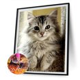 thumbnail image 2 of Cuadros Decorativos DIY Full Round Drill Diamond Painting Animal Mosaic Rhinestone Art Ndcxsfigh Nuevos Originales, 2 of 9
