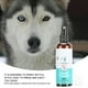 thumbnail image 5 of Killer 100ml Mascotas Mist Spray Pulgas Piojos Insecto Killer Líquido Gato Perro Piel Cuidado Saludable Spray, 5 of 7