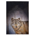 thumbnail image 1 of Betsy Drake GT315 Wolf Serviette d'Invité - 20 x 20 Po., 1 of 1