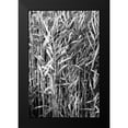 thumbnail image 2 of Grey, Jace 17x24 Black Modern Framed Museum Art Print Titled - Beach Foliage 4, 2 of 5