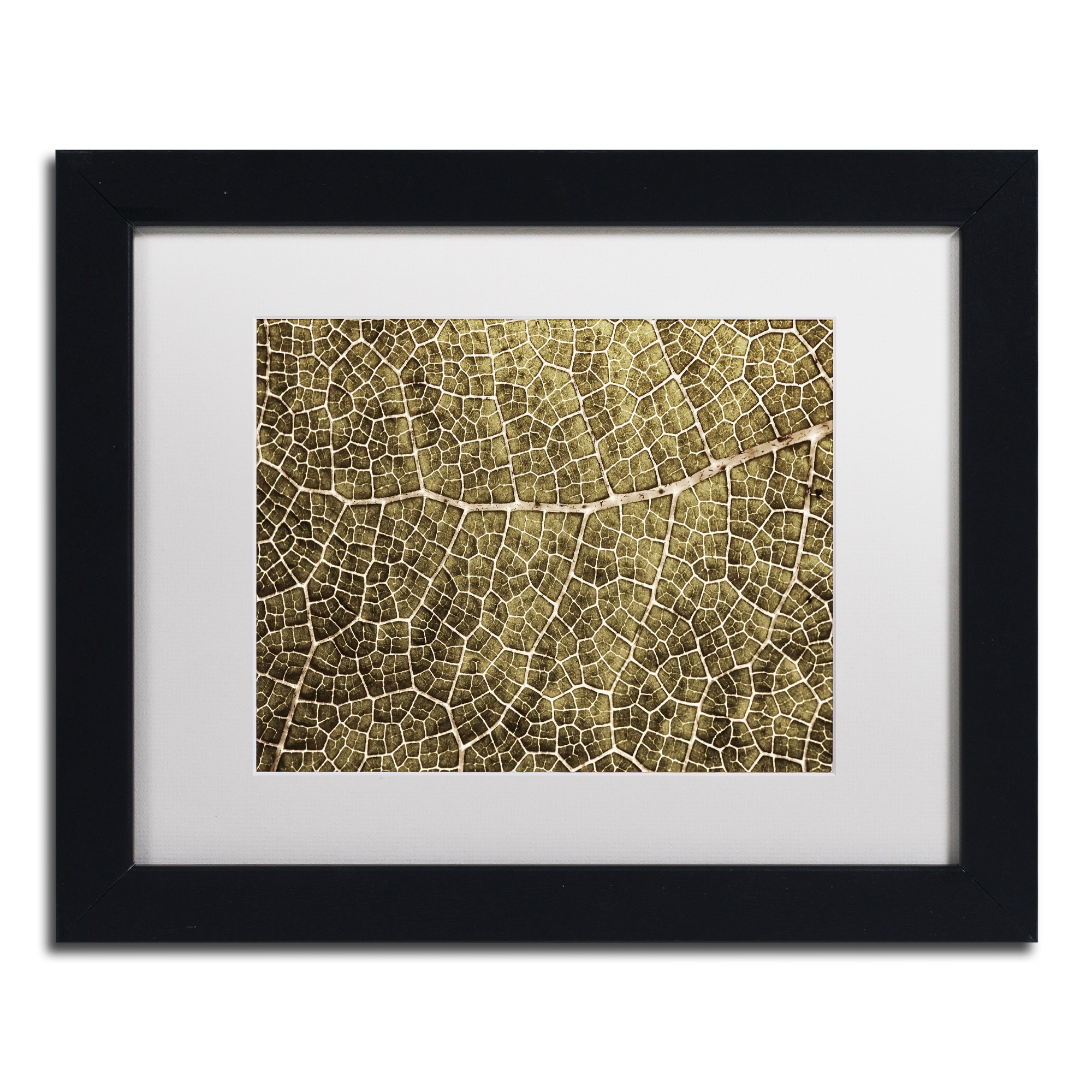 Trademark Fine Art 'Sepia Leaf Texture' Canvas Art by Cora Niele, White Matte, Wood Frame