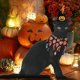 thumbnail image 4 of Ropa de Navidad para gatos, decoración para fiesta de Halloween, capa, sombrero, Collar para perro, líder, lindo perro, gato, accesorios de vestir, 4 of 5