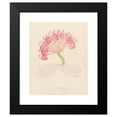 thumbnail image 2 of Clemenz Heinrich Wehdemann 12x14 Black Modern Framed Museum Art Print Titled - Bruswigia (Coranica Ammochais) (1817), 2 of 5