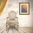 thumbnail image 3 of Randy Noble Fine Art 19x24 Gold Ornate Wood Framed with Double Matting Museum Art Print Titled - Natures Rays, 3 of 4