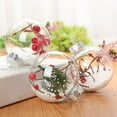 thumbnail image 4 of 2Pcs Christmas Tree Ball Hollow Transparent Glitter Star Rattan Red Fruits Scene Layout Plastic  Party Decor  Ball Pendant Party Supplies Style F 6 cm, 4 of 13