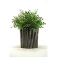 thumbnail image 2 of D&W Silks Green Locust Spray in Oval Ceramic Planter, 2 of 2