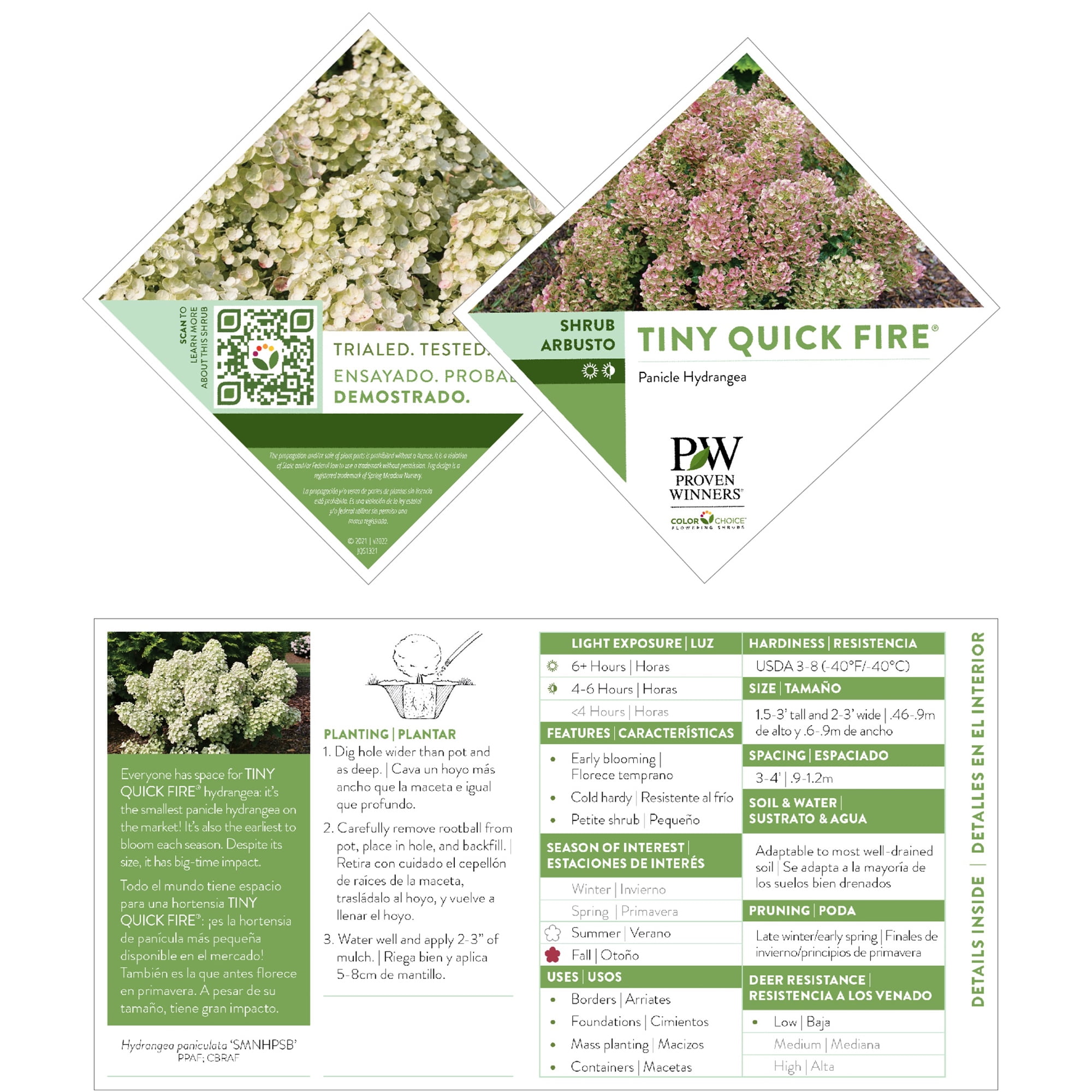 Proven Winners ColorChoice Tiny Quick Fire Hydrangea Live Shrub (2 Gallon)