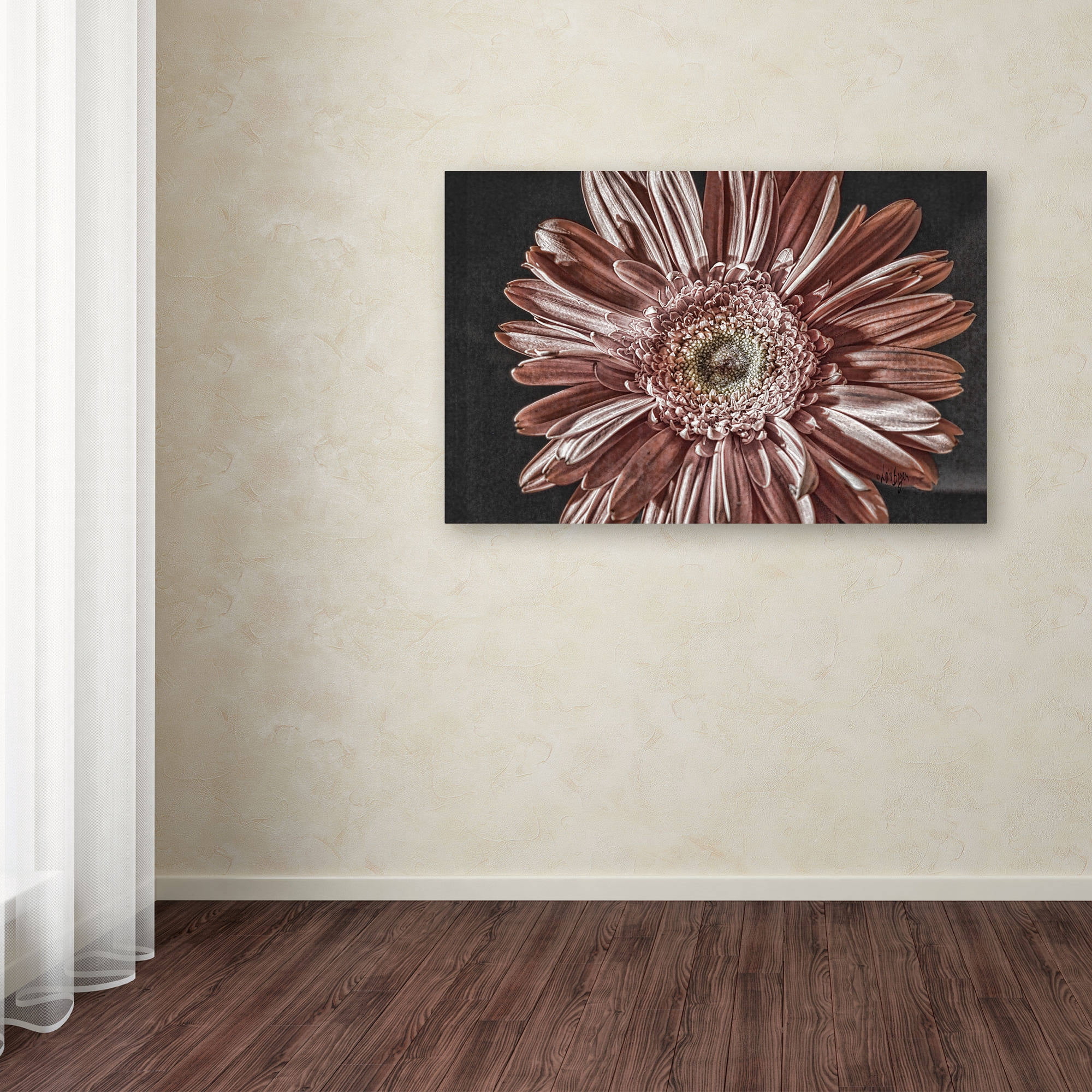 Trademark Fine Art "Silvery Pink" Canvas Art by Lois Bryan