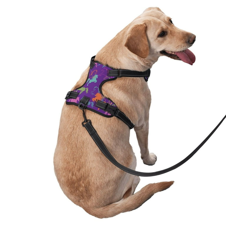 Minimalist dog harness hot sale