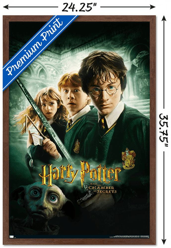 Harry Potter and the Chamber of Secrets - International One Sheet Wall Poster, 22.375" x 34", Framed