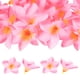 thumbnail image 1 of Uxcell 20-Pack Cabezas de Flores Plumeria Artificiales, 2.36"/ 6cm Flores Plumeria Falsas de Seda para Manualidades DIY, Rosa, 1 of 1