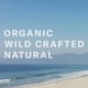 thumbnail image 4 of Crema bronceadora Chocolate Sun Organic Glow Medium 236 ml, 4 of 7