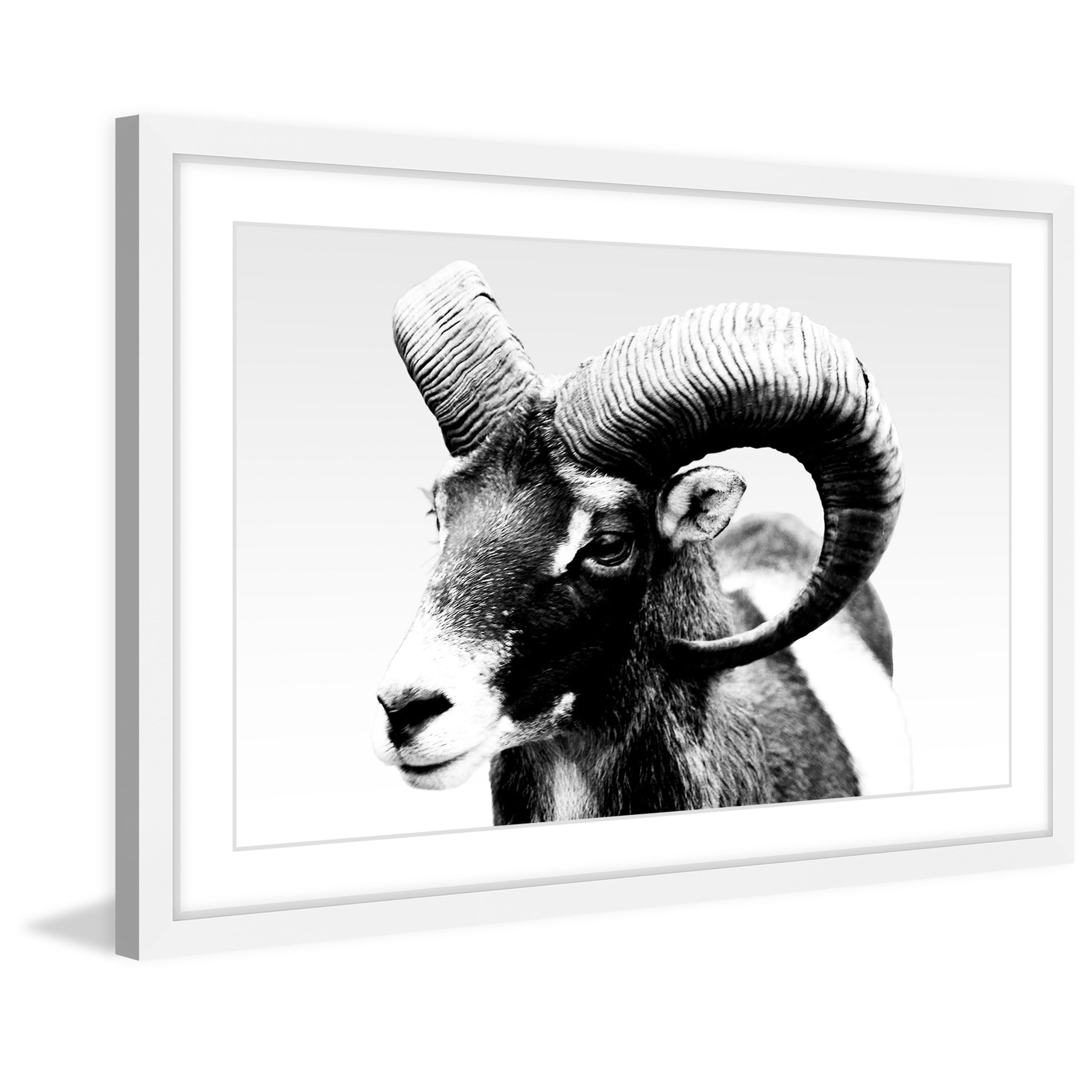 Marmont Hill "Ram Forward" Framed Painting Print