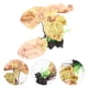 thumbnail image 5 of Planta de paisaje para acuario, decoración de plantas para pecera, decoración de plantas de acuario, planta acuática de plástico, 5 of 6