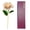 White, variant on Yihuala 24K Plated Gold Dipped Rose Dried Flower with Box and Dispaly Stand Day Wedding Anniversary