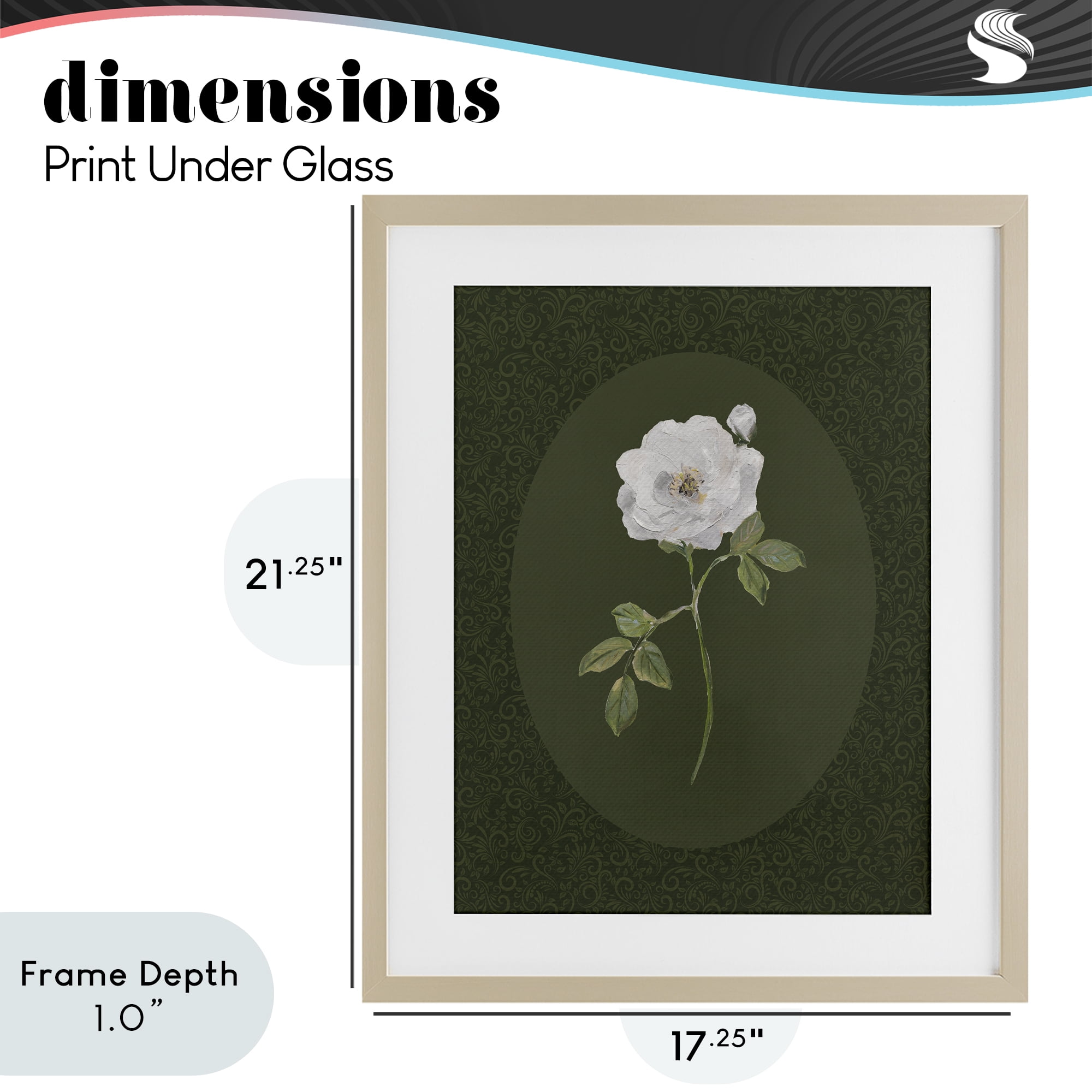 Stupell Industries Emerald & White Oval Rose Birch Framed Print Under Glass, design by Sally Swatland