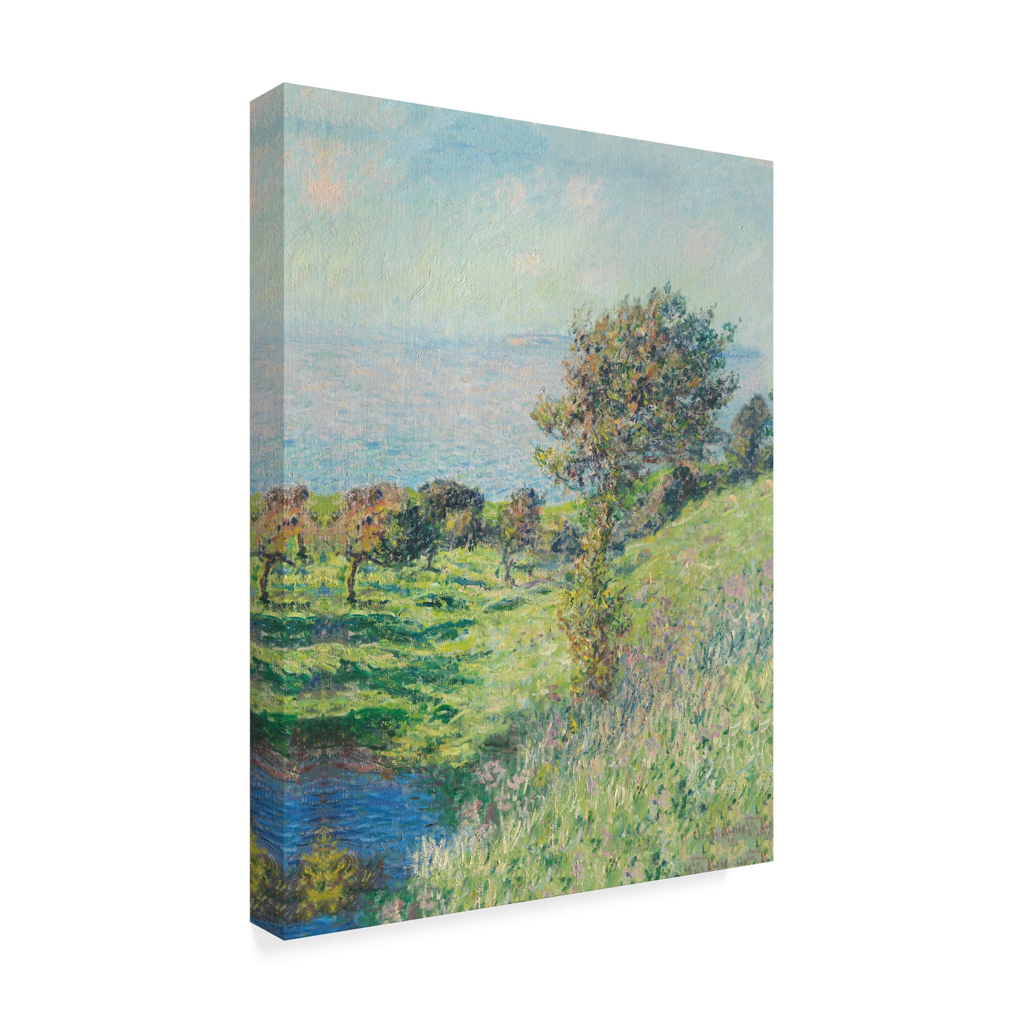 Trademark Fine Art 'Coup de vent, 1881 ' Canvas Art by Claude Monet
