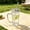 Clear#348, variant on Clear Glass Water Cup With Handle, Lid and Straw, Lead-Free Thick Glass Coffee and Beverage Tumbler for Hot or Cold Drinks at Home or Office