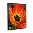 thumbnail image 3 of Stupell Industries Bold Red Poppy Flower Blossom Petals Photograph Jet Black Floating Framed Canvas Print Wall Art, Design by Heidi Bannon, 3 of 9