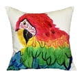 thumbnail image 2 of Betsy Drake HJ465 Northern Shoveler Large Indoor & Outdoor Pillow - 16 x 20 in., 2 of 3