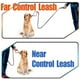 thumbnail image 5 of Correa de cuero para perros: ideal para adiestramiento, 5 of 5