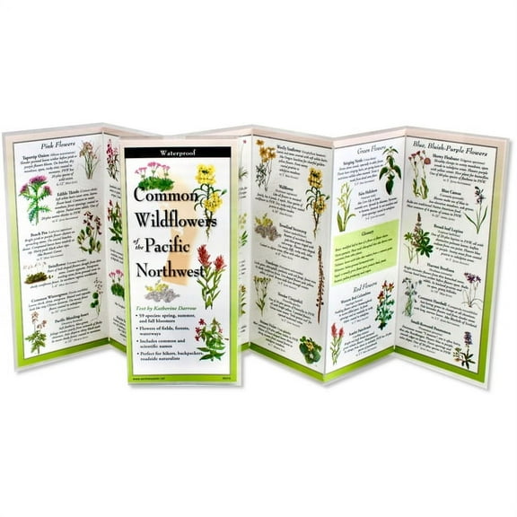 Common Wildflowers of the Pacific Northwest (Other)