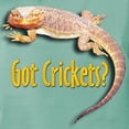thumbnail image 3 of CafePress - Bearded Dragon 2 Got Crickets Black T Shirt - Womens Comfort Colors® Shirt, 3 of 4