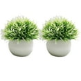 thumbnail image 1 of Wosthever 2 uds plantas de simulación en maceta de plástico que añaden belleza y estilo a cualquier entorno pastos falsos para decoración Decoración Blanco claro, 1 of 6
