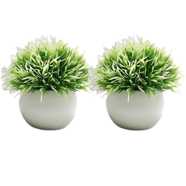 Wosthever 2 uds plantas de simulación en maceta de plástico que añaden belleza y estilo a cualquier entorno pastos falsos para decoración Decoración Blanco claro