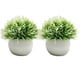 thumbnail image 1 of Wosthever 2 uds plantas de simulación en maceta de plástico que añaden belleza y estilo a cualquier entorno pastos falsos para decoración Decoración Blanco claro, 1 of 6
