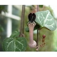 thumbnail image 3 of Rosary Vine - Ceropegia woodii - String of Hearts - 2.5" Pot - Collector' Series, 3 of 4