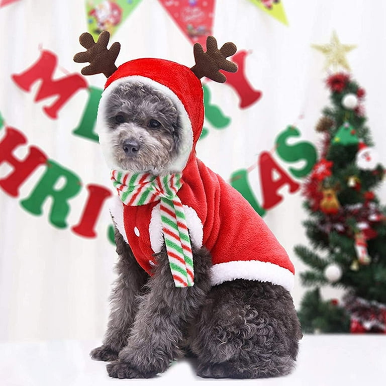 Small dog christmas costumes 2025