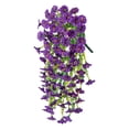 thumbnail image 1 of Uinagy Hanging Morning Glory, 1 of 2