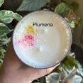 thumbnail image 1 of Agate Edge 10oz Luxury Soy Wax Candles (Plumeria), 1 of 1