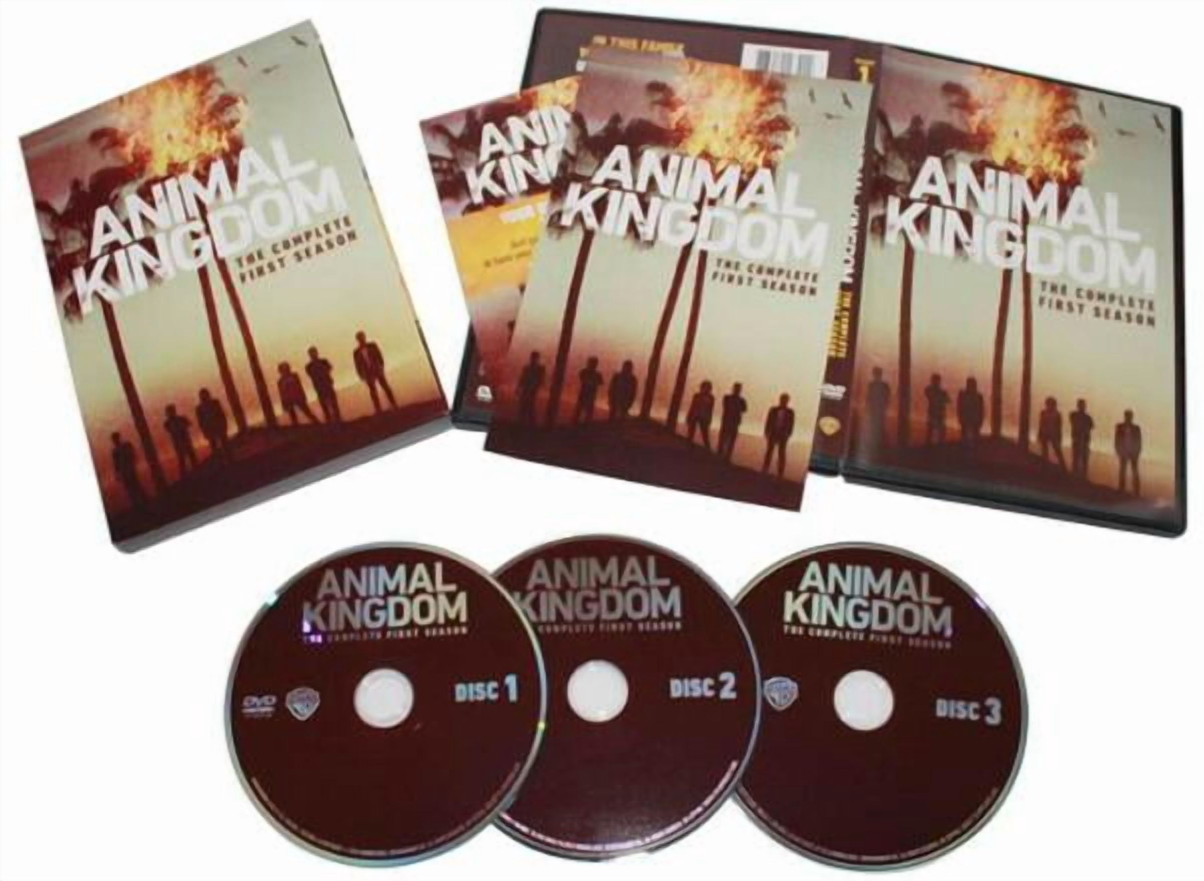 正規 販売 店 The Alfee Kingdom Chapter 1 DVD 【公式通販】