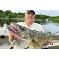 thumbnail image 6 of Northland Eye-Candy Minnow 4" Swimbait Chartreuse Shad, 6 of 8