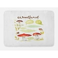 thumbnail image 1 of Autumn Bath Mat, Forest Elements Hand Drawn Aquarelle Style Fungus Nuts and Foliage Leaves Autumn, Non-Slip Plush Mat Bathroom Kitchen Laundry Room Decor, 29.5 X 17.5 Inches, Multicolor, Ambesonne, 1 of 2